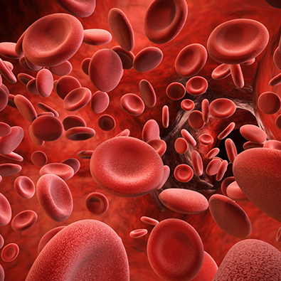 Illustration of blood platelets used in PRP therapy