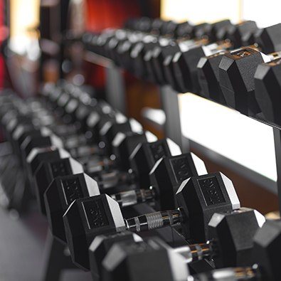 Row of weights in a gym
