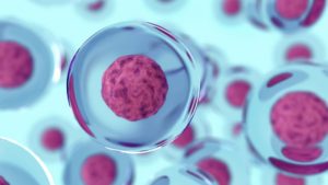 stem cell graphic